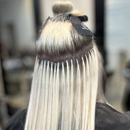Original Fusion Extensions